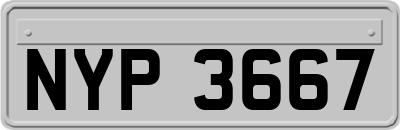 NYP3667