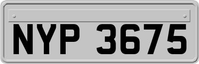 NYP3675