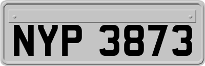 NYP3873