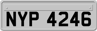 NYP4246