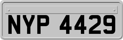 NYP4429