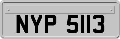 NYP5113