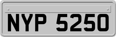 NYP5250