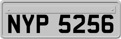 NYP5256