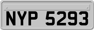 NYP5293