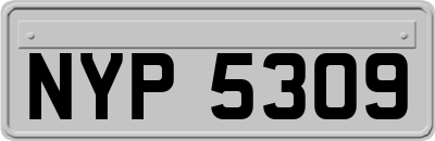 NYP5309