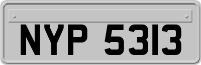 NYP5313