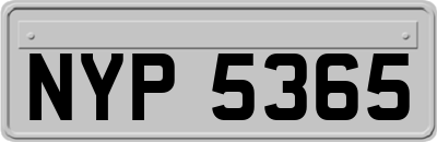 NYP5365
