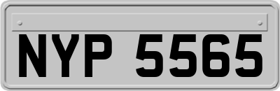 NYP5565