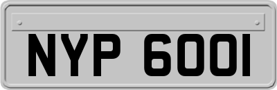 NYP6001