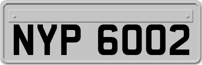 NYP6002
