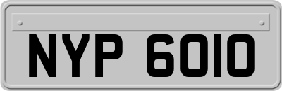 NYP6010