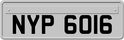 NYP6016