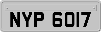 NYP6017