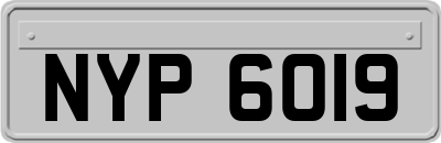 NYP6019