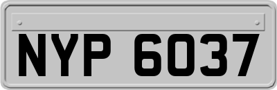 NYP6037