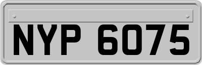 NYP6075