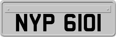 NYP6101