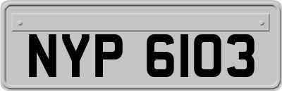 NYP6103