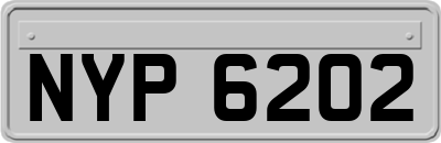 NYP6202