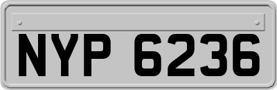 NYP6236