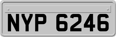 NYP6246