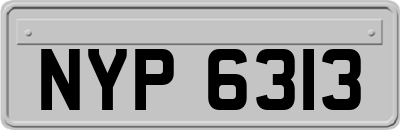 NYP6313