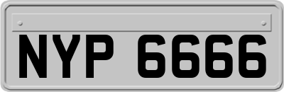 NYP6666