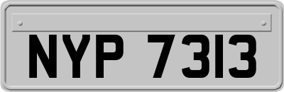 NYP7313