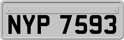 NYP7593