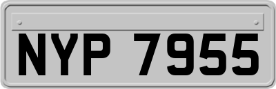 NYP7955