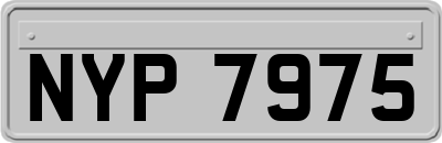 NYP7975
