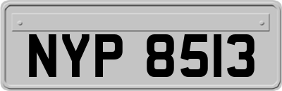 NYP8513
