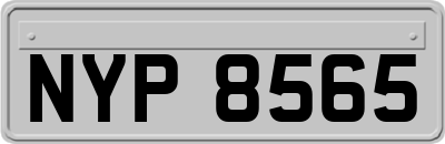 NYP8565