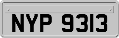 NYP9313