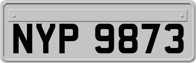 NYP9873