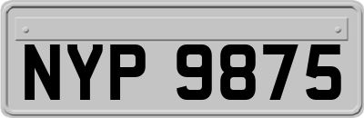 NYP9875