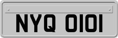 NYQ0101