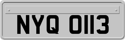 NYQ0113