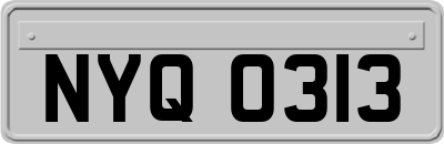 NYQ0313
