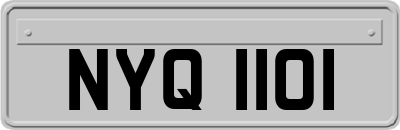 NYQ1101