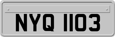 NYQ1103