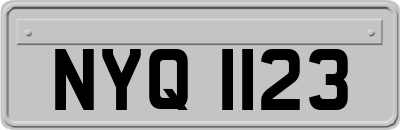 NYQ1123