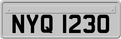 NYQ1230