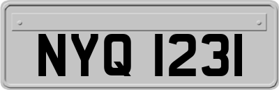 NYQ1231