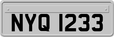 NYQ1233