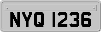 NYQ1236