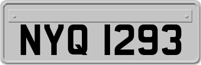 NYQ1293