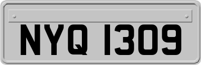 NYQ1309