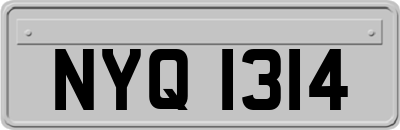 NYQ1314